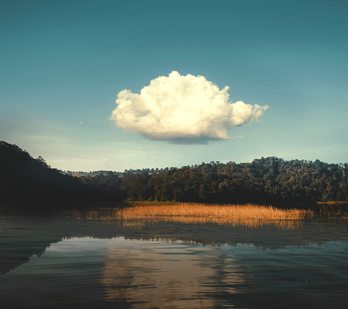 Trending Topics Feature image