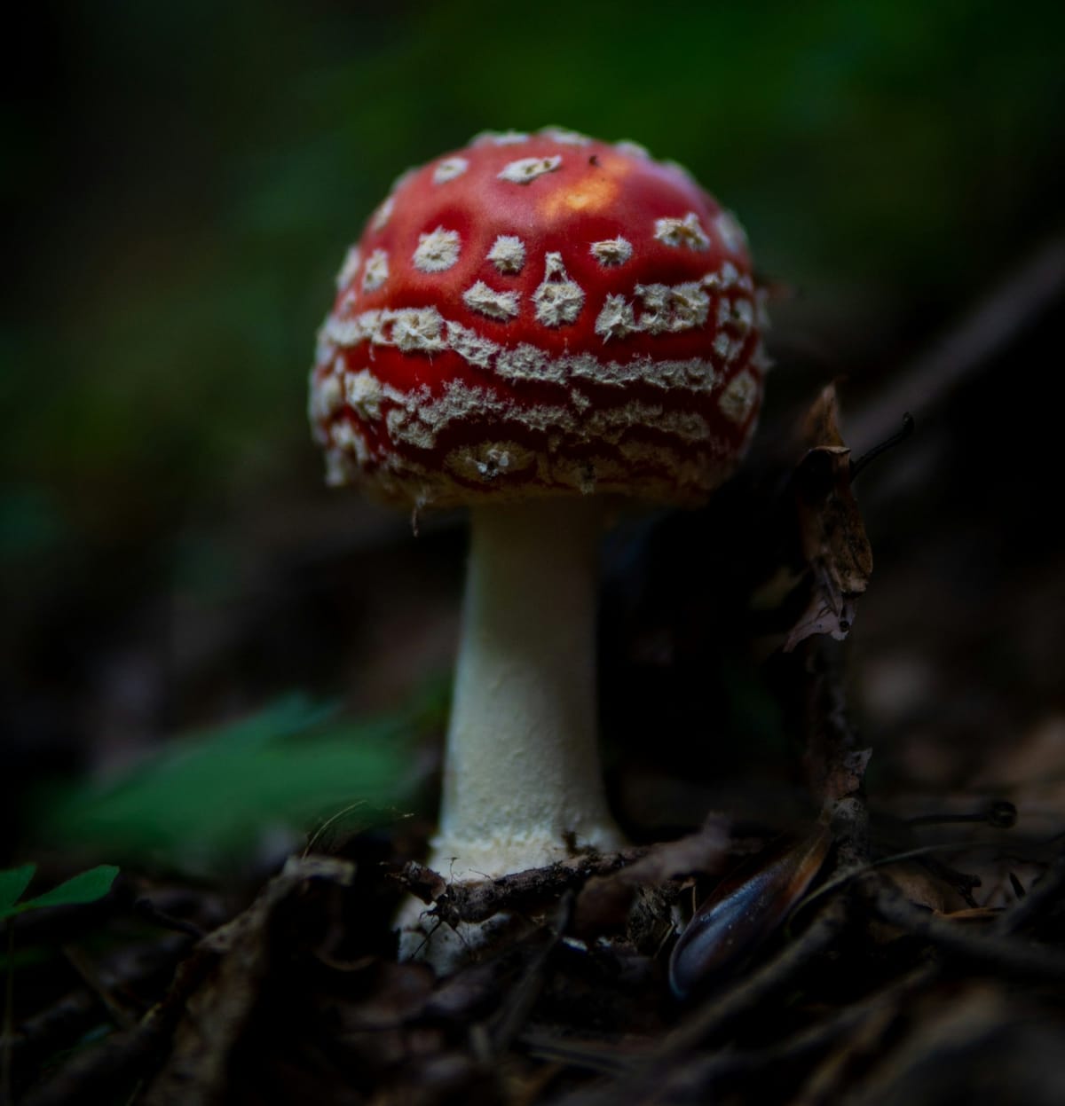 Trending Topics Feature image