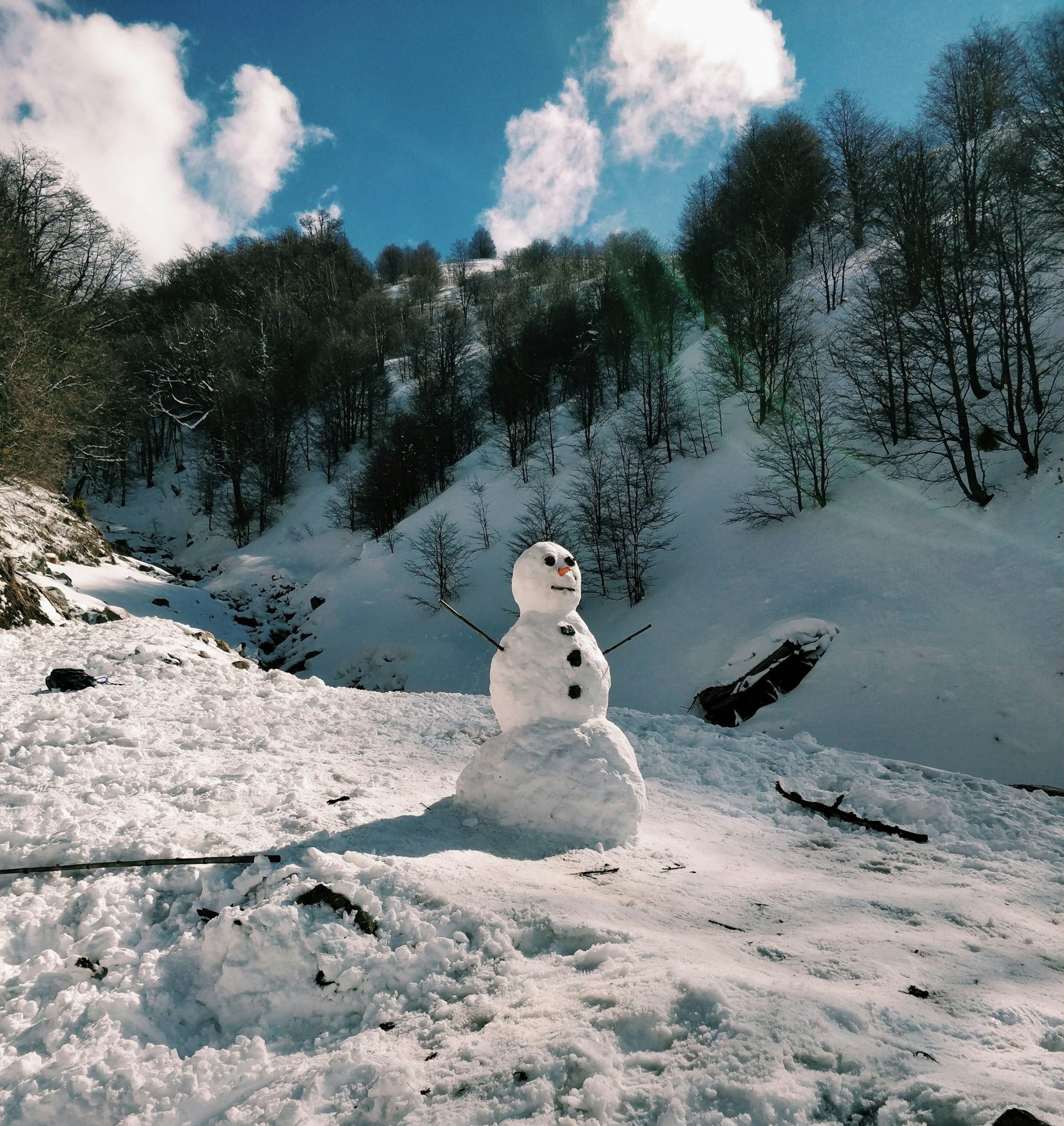 Trending Topics Post image